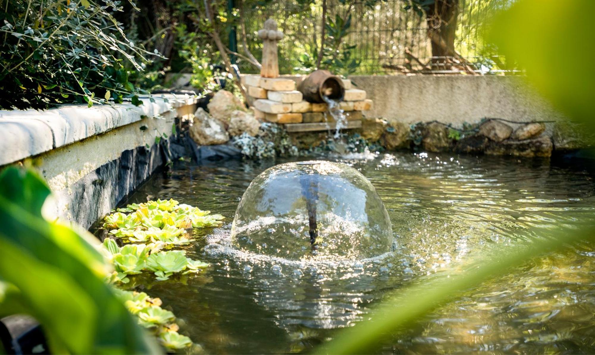 Domaine A L'Aise - Piscine Chauffee Bed and Breakfast Plaissan Buitenkant foto